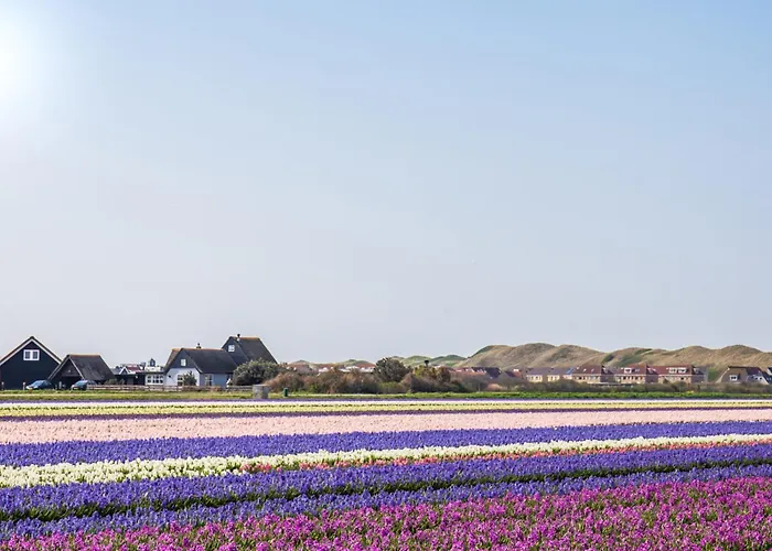 Duinland 251 - Park Duinland Sint Maartenszee